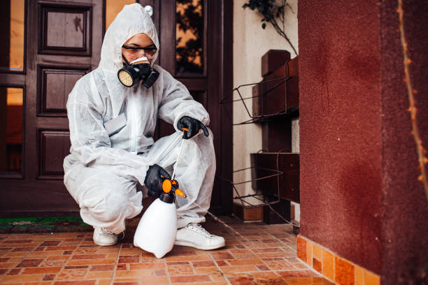 Reliable Cockroach Control contractor in Electra, TX by Nex Pest Control